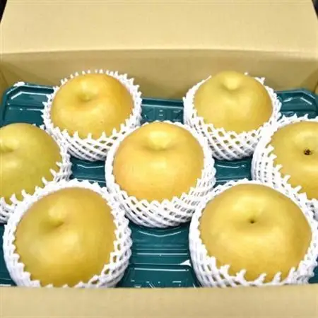【数量限定】館山齊藤果樹園の完熟梨「新高(にいたか)」6～9個【1534578】