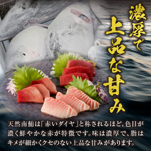 『鮪の魚二』天然南鮪大トロ中トロ赤身約800gセット (a40-076)