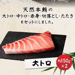 天然本鮪満喫セット (a50-096)