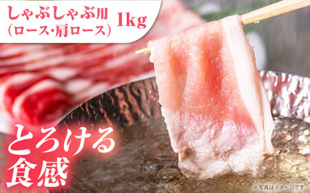 【全3回定期便】肥前さくらポーク 季節の定期便＜冬＞ [HAM082] 豚肉 肉 ぶた肉 ブタ肉 定期 定期便
