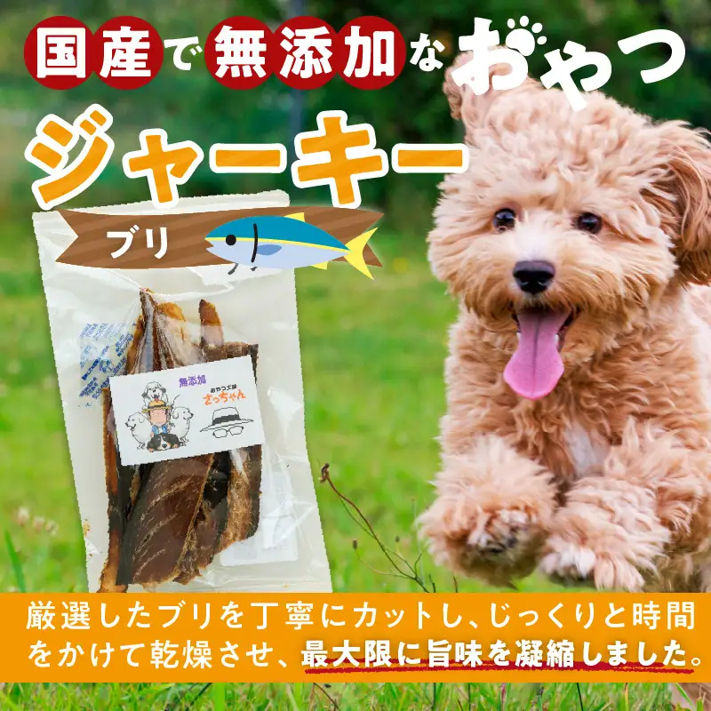 犬猫用 ペットフード 国産無添加おやつジャーキー ブリ（魚） おやつ工房さっちゃん ペット ペット用品 ドッグフード キャットフード 犬 猫 無添加 おやつ ジャーキー マルシェ エサ 餌 おやつ工房 さっちゃん 愛知県 小牧市 [143O08]
