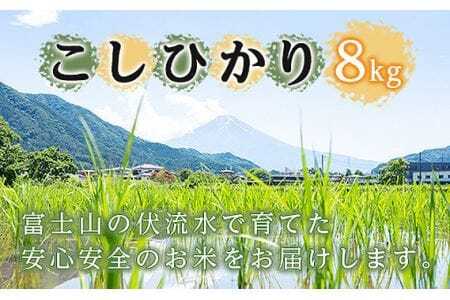【こしひかり8kg】山梨県富士山麓で育った西桂町産精米4kg×2袋 ／ お米 白米 精米 コシヒカリ 山梨県【西桂町との共通返礼品】【tab0156】