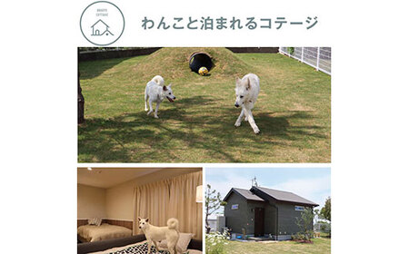 ONIWAご利用券3,000円 