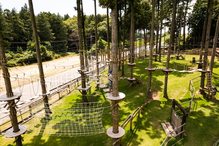 58ロハスクラブ　空中アスレチック『Wild Forest One』利用券