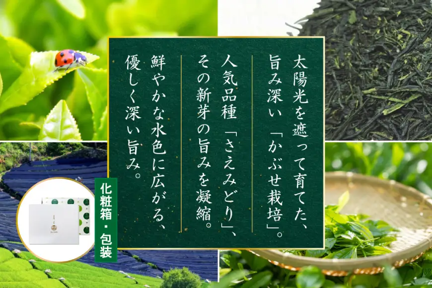 お茶 緑茶 深蒸し煎茶 深緑 80g×3本