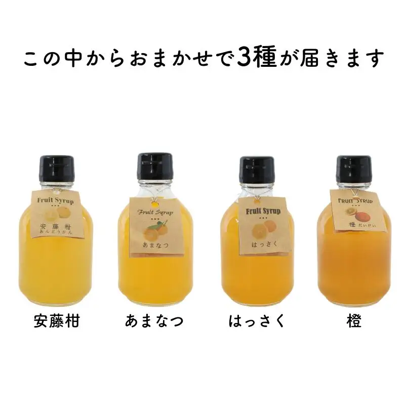 シロップ フルーツシロップ おまかせ3種セット（200g×3） 【ktr021】