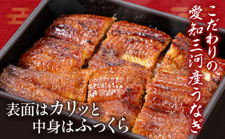 炭火手焼きうなぎ蒲焼2尾 化粧箱入(1尾あたり155g以上)・S060