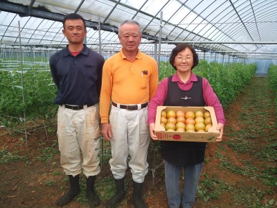 【2027年１月から発送開始】『喜界島トマト』自家製有機肥料(ボカシ肥料)使用栽培　４kg