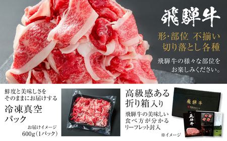訳あり 飛騨牛 切落とし 500g 訳あり 飛騨高山ミート [MZ011]