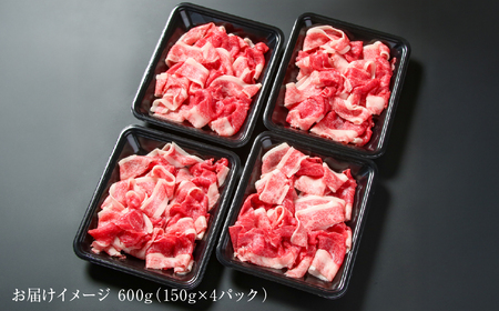 訳あり 飛騨牛 切落とし 600g 黒毛和牛 和牛 飛騨高山ミート [MZ012]