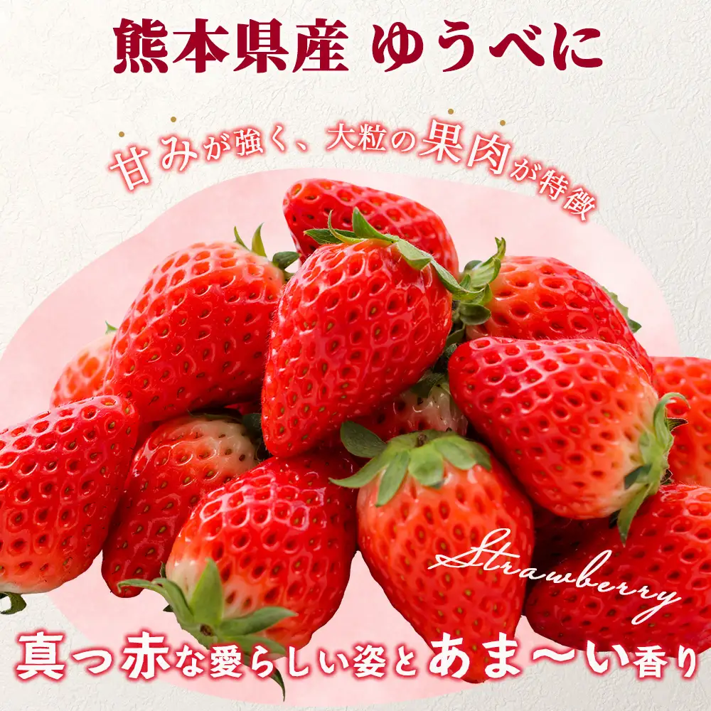 熊本県産 いちご ゆうべに  2kg (250g×8パック)【2027年出荷分】 イチゴ 果物 フルーツ 熊本県 多良木町 農園直送 107-0502