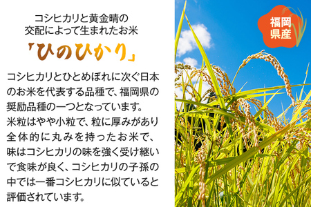 米 無洗米 白米 ご飯 ひのひかり 20kg 令和5年産 無洗米 福岡県 大木町産 ヒノヒカリ 20kg （5kg×4袋） 福岡県 大木町 株式会社田中米穀 BC11