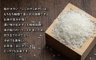 【新米】 先行予約 新米 令和8年産 にじのきらめき 10kg 20000円 お米 白米 精米 米 