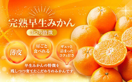 完熟 早生みかん 約5kg箱 ／ 期間限定 柑橘 ミカン フルーツ 果物 くだもの みかん ミカン 野中果樹園 オンライン決済限定 アフター保証 長崎県 長崎市  【2026年11月上旬～12月下旬迄発送予定】