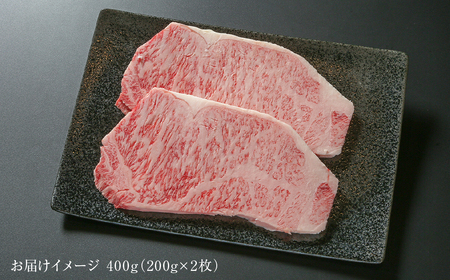 飛騨牛 サーロインステーキ 400g 黒毛和牛 和牛 飛騨高山ミート [MZ019]