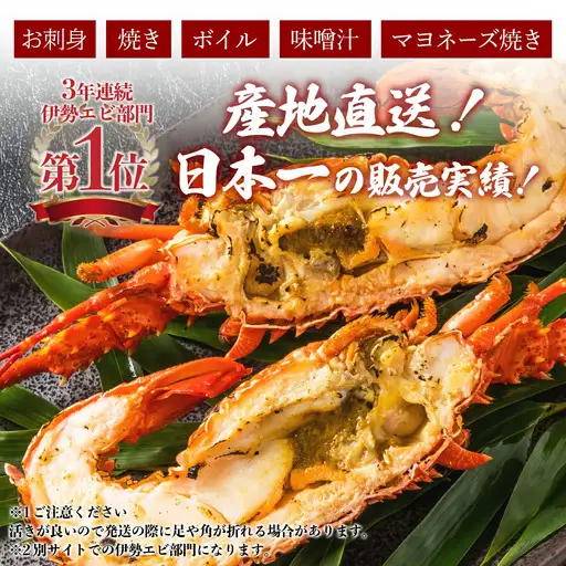 伊勢海老おせちサイズ 1~2尾