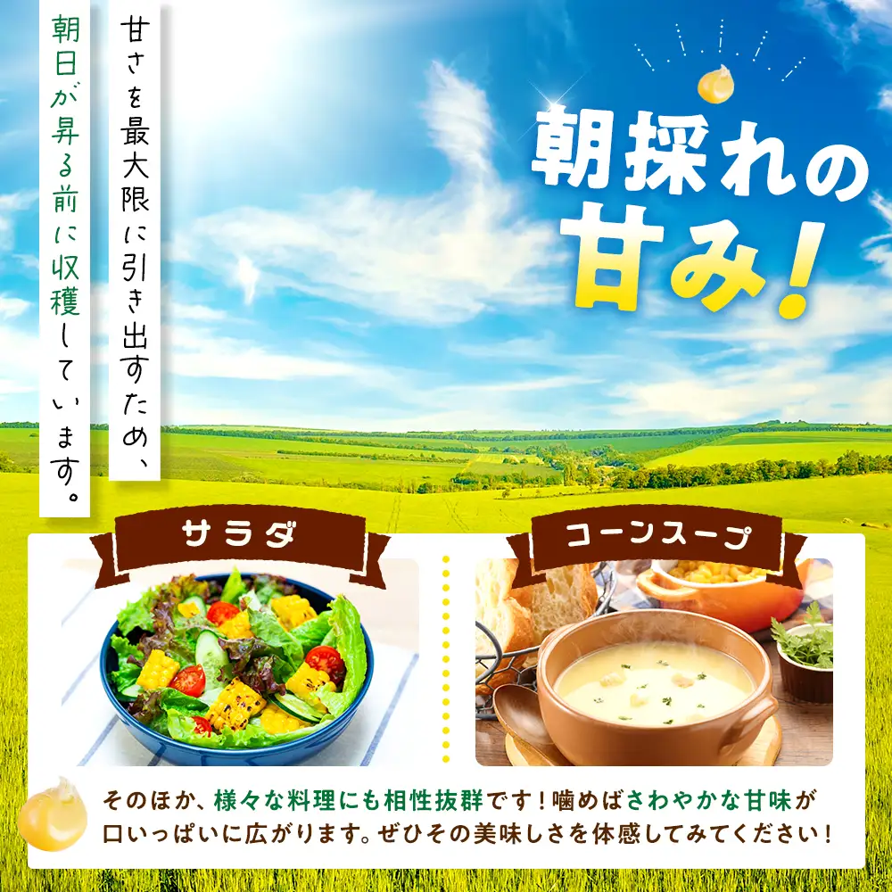 【2027年先行予約 6月下旬から出荷】 スイートコーン 約5kg 10-14本 冷蔵 国産 先行予約 数量限定 コーン 野菜 新鮮 焼き 蒸し 産地 直送 甘い 甘口 子ども 子供 小分け 種子 肥料 さわやか すっきり 糖度 黄色 人気 おすすめ 愛知県 南知多町
