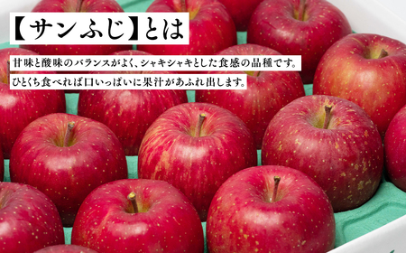りんご 広船のサンふじ・王林詰合せ約5kg  贈答用 特A16~20玉 12月発送[hi-0004-006]