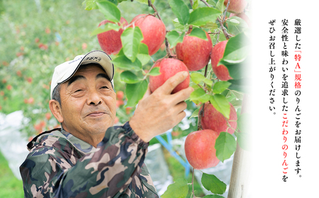 年明け 広船のサンふじ・王林詰合せ約5kg 贈答用 特A16~20玉[hi-0004-007]