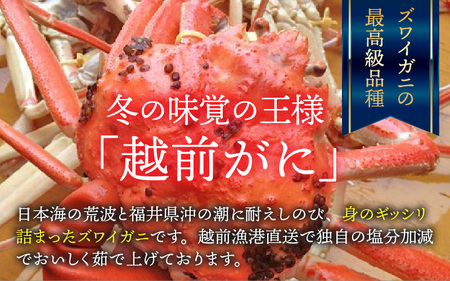 【先行予約】越前港より直送！ 越前がに 大 (約1kg～1.2kg) 2杯 ※発送前に在宅確認の電話連絡をいたします!【1月～3月発送】  海鮮  ボイル 