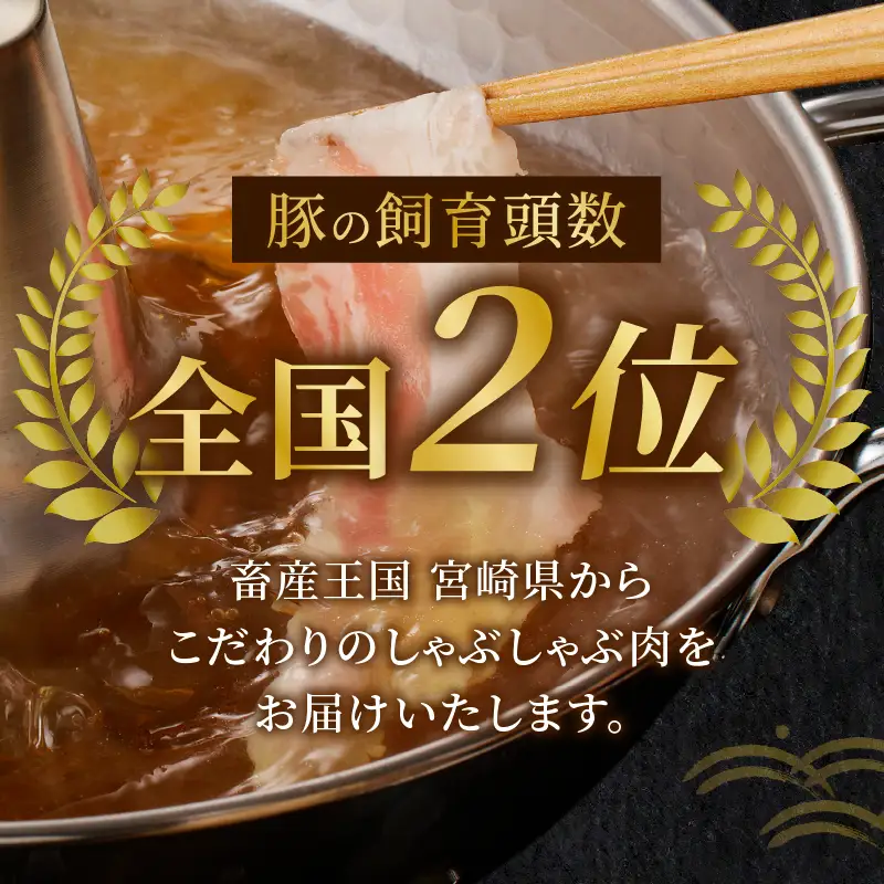 宮崎県産豚バラしゃぶしゃぶ用(計1kg) 肉 豚 豚肉 おかず 国産_T009-0136