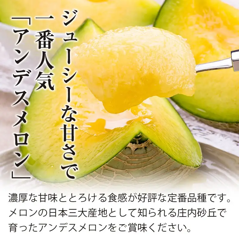 【令和8年産】 秋どりアンデスメロン 約5kg (3～4玉入) 山形県鶴岡市産 庄内砂丘メロン　小林ファーム　| メロン めろん 秋採り 秋収穫 秋メロン フルーツ 果物 くだもの デザート 産地直送 山形 鶴岡 庄内 庄内産 東北 人気 おすすめ 美味しい 贈答 国産 お取り寄せ 返礼品