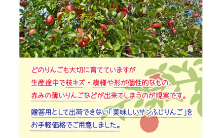MZ12 南信州産 サンふじりんご 訳あり 約5kg / 2026年12月中旬頃～12月下旬頃配送予定 // 長野県 南信州 さんふじ サンフジ ふじりんご 訳あり 家庭用 自宅用