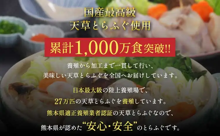 先行予約 数量限定 ふぐ 1日10セット限定！白子付 天草とらふぐフルコース スペシャル 8～10人前 【2026年12月下旬から2027年3月下旬発送予定】