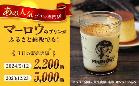 【全6回定期便】葉山ビーカープリン おすすめプリン180g×5個 [AKAF039]プリン