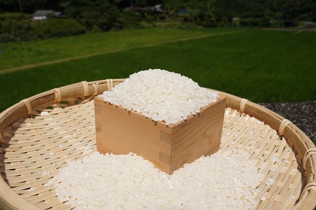 【令和8年新米】熊野市育生町 お米 15kg 【ligh0014A】