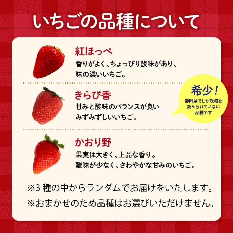 いちご  2027年3月から5月発送 3ヶ月 定期便 大粒 24～30粒 いちご