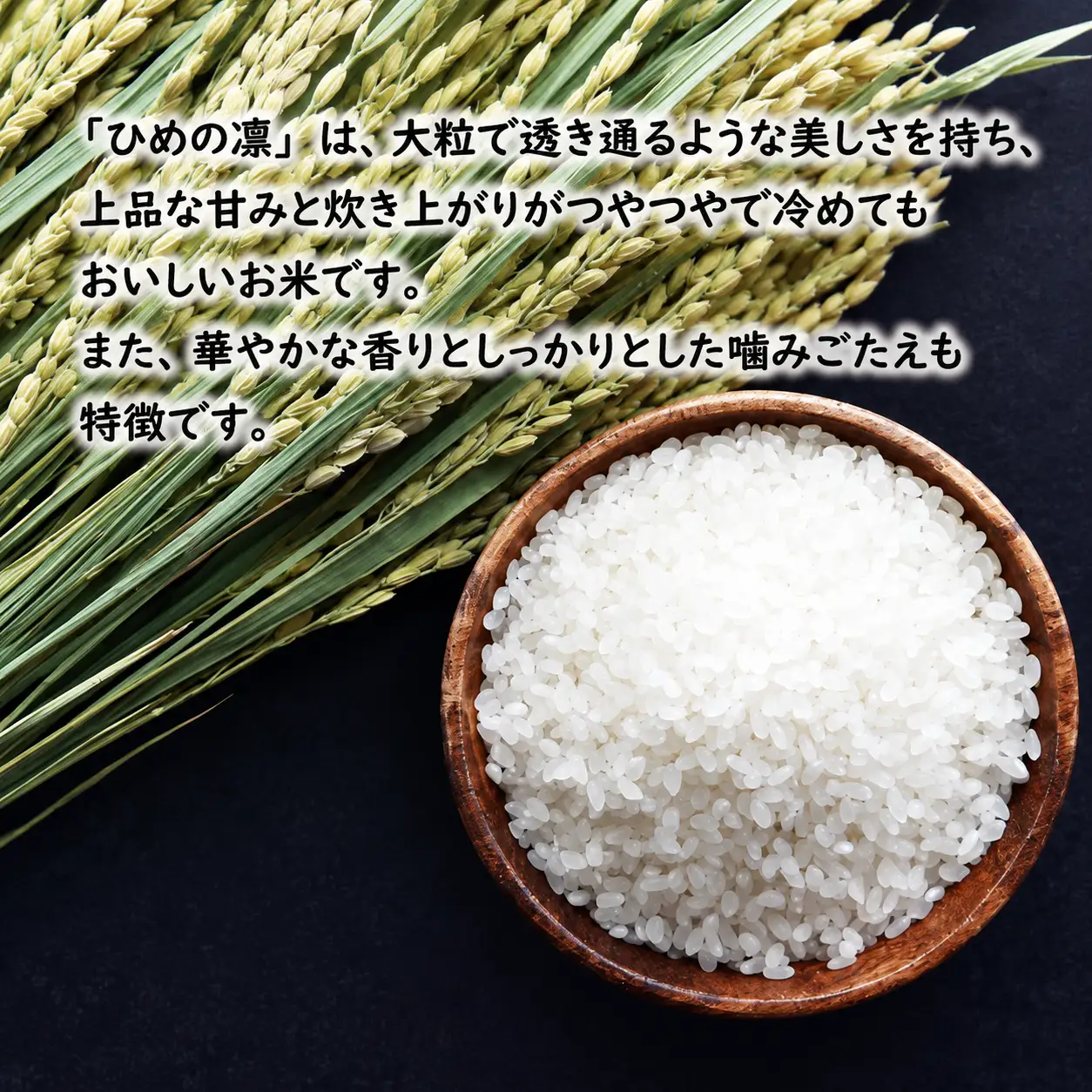 先行予約 新米 令和7年産 ひめの凜 10kg 27000円 お米 白米 精米 米 こめ 産地直送 国産 農家直送 期間限定 数量限定 特産品 先行 事前 受付 令和7年度産 2025年産 新品種 人気 ブランド 大粒 もっちり 甘み プレミアムクオリティ 冷めても おいしい おにぎり コシヒカリ に負けない 香り 内祝い お祝い 贈答品 プレゼント 土産 御礼 お礼 お取り寄せ 愛南町 愛媛県