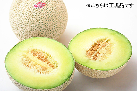 【訳あり】純系マスクメロン１玉【１０月発送分】