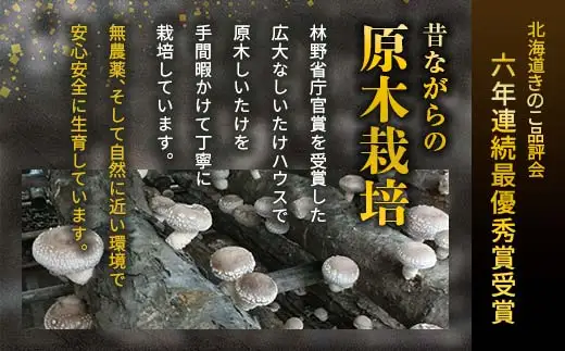 【先行予約】2026年9月以降順次発送 原木栽培 生椎茸 約1kg 里の恵 しいたけ シイタケ きのこ キノコ 椎茸 野菜  F21X-570
