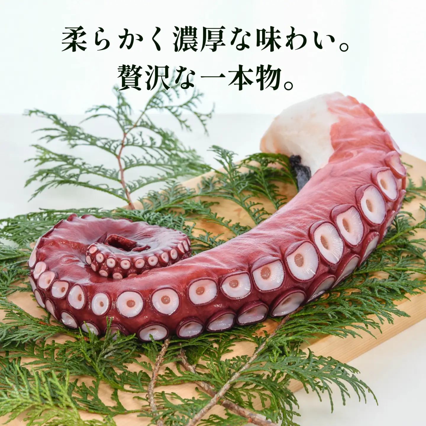 【北海道根室産】ボイル水たこ足1本(1kg) A-20007