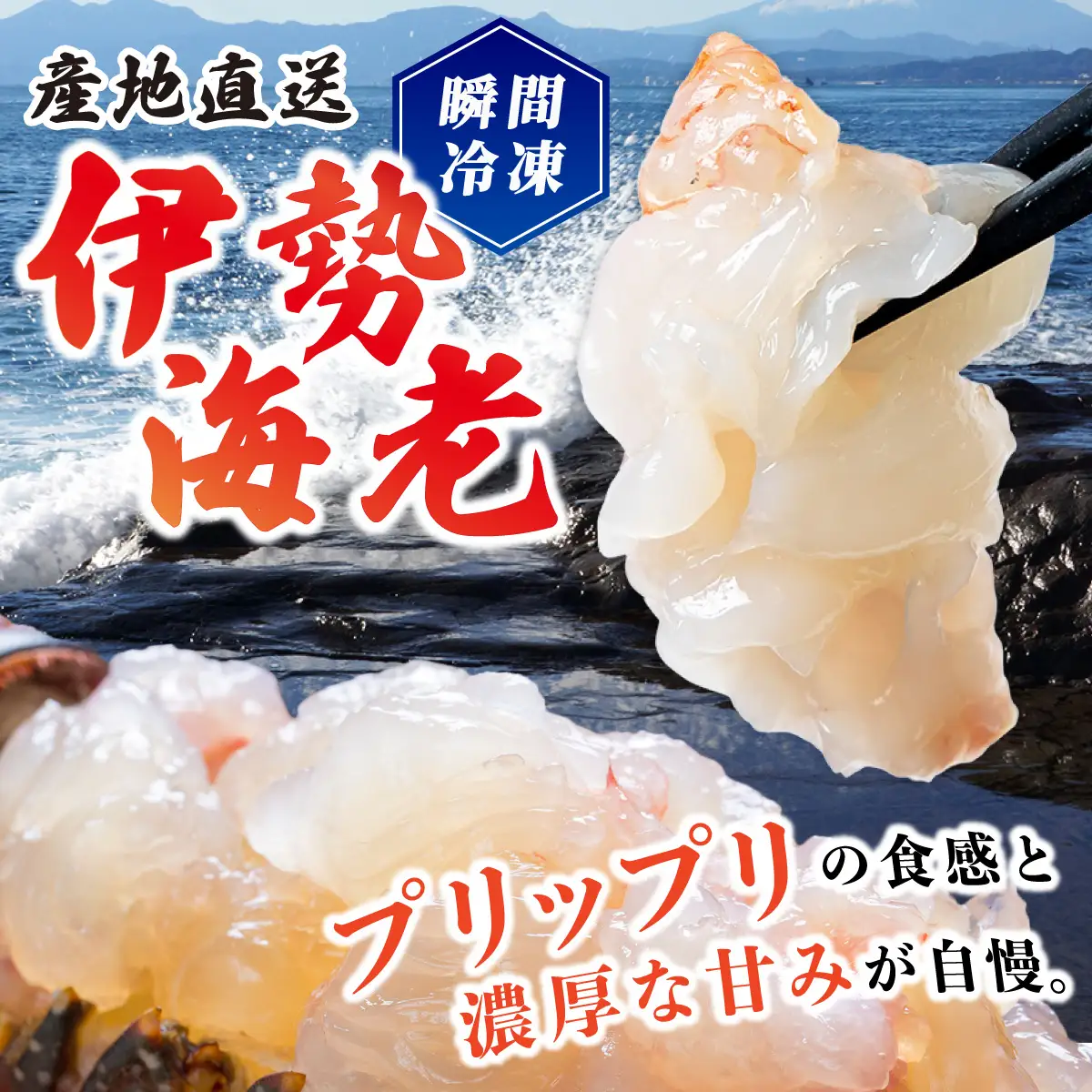 訳あり 活〆伊勢海老 1000g(2～5尾)