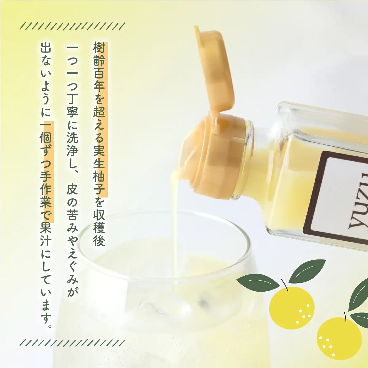 100年ゆず果汁＜200ml×20本セット＞  S223 【株式会社森海家】