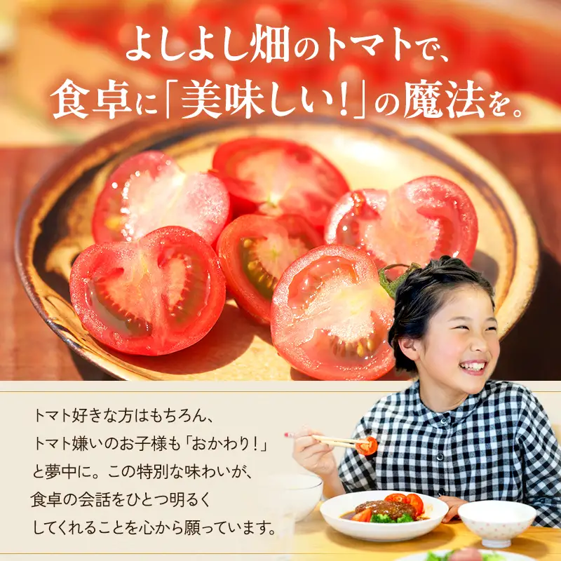 トマト よしよし畑 中玉トマト トマト【800g～1kg】【定期便3ヶ月】