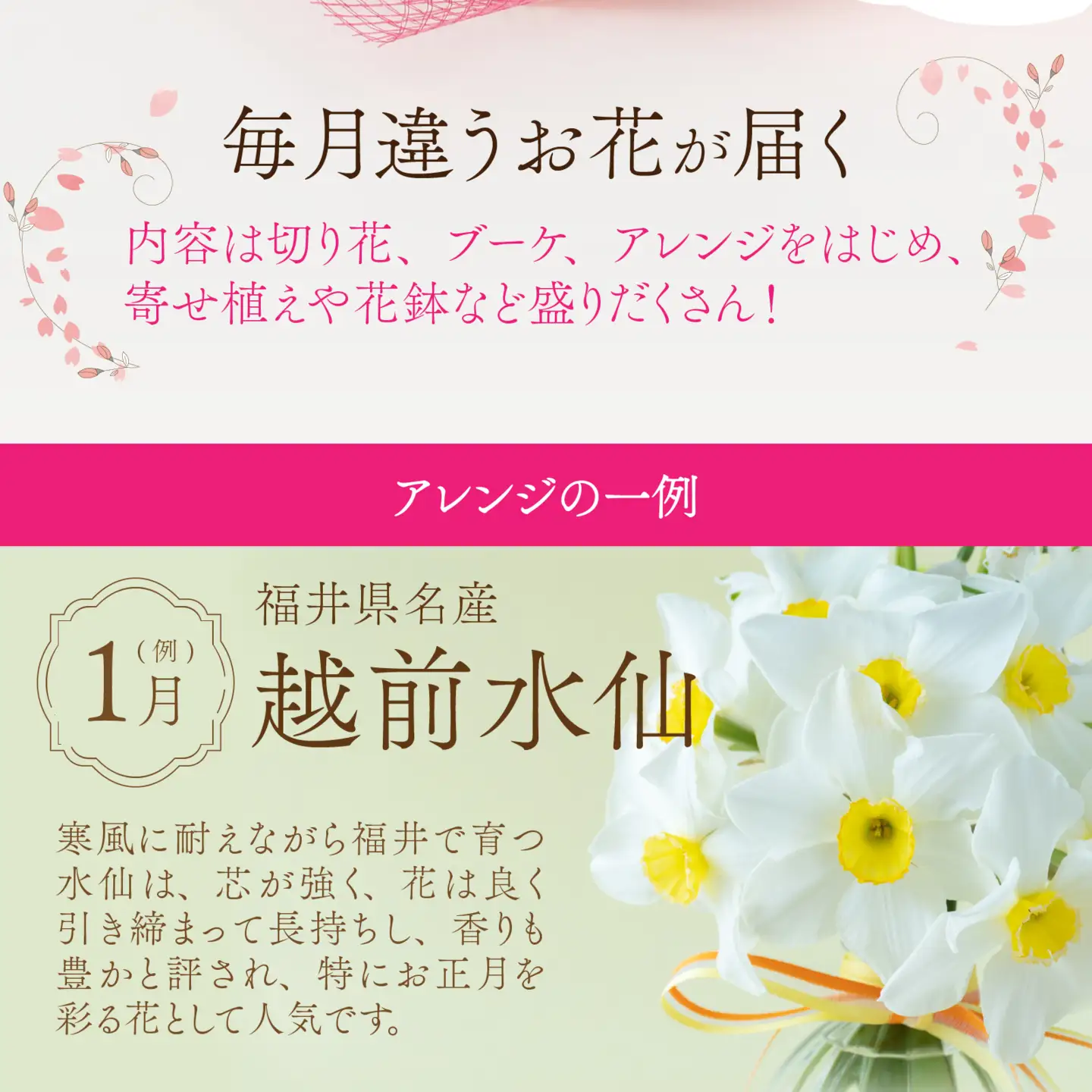 季節を楽しもう！毎回違うお花が届く「お花の定期便」 [M-159003] 