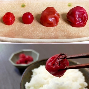 梅干し 計700g 味くらべ 梅干し 南高梅