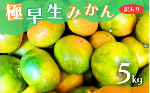 【2026年秋頃発送予約分】【訳あり】こだわりの極早生みかん 約5kg ※2026年10月～11月に順次発送予定（お届け日指定不可） 有機質肥料100% サイズ混合  有田産【nuk165B】