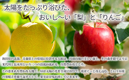 【先行予約】数量限定・期間限定【陽気な母さんの店】 Ｒ8年産「旬の梨とりんご詰合」（5kg）75P3406 【陽気な母さんの店 】