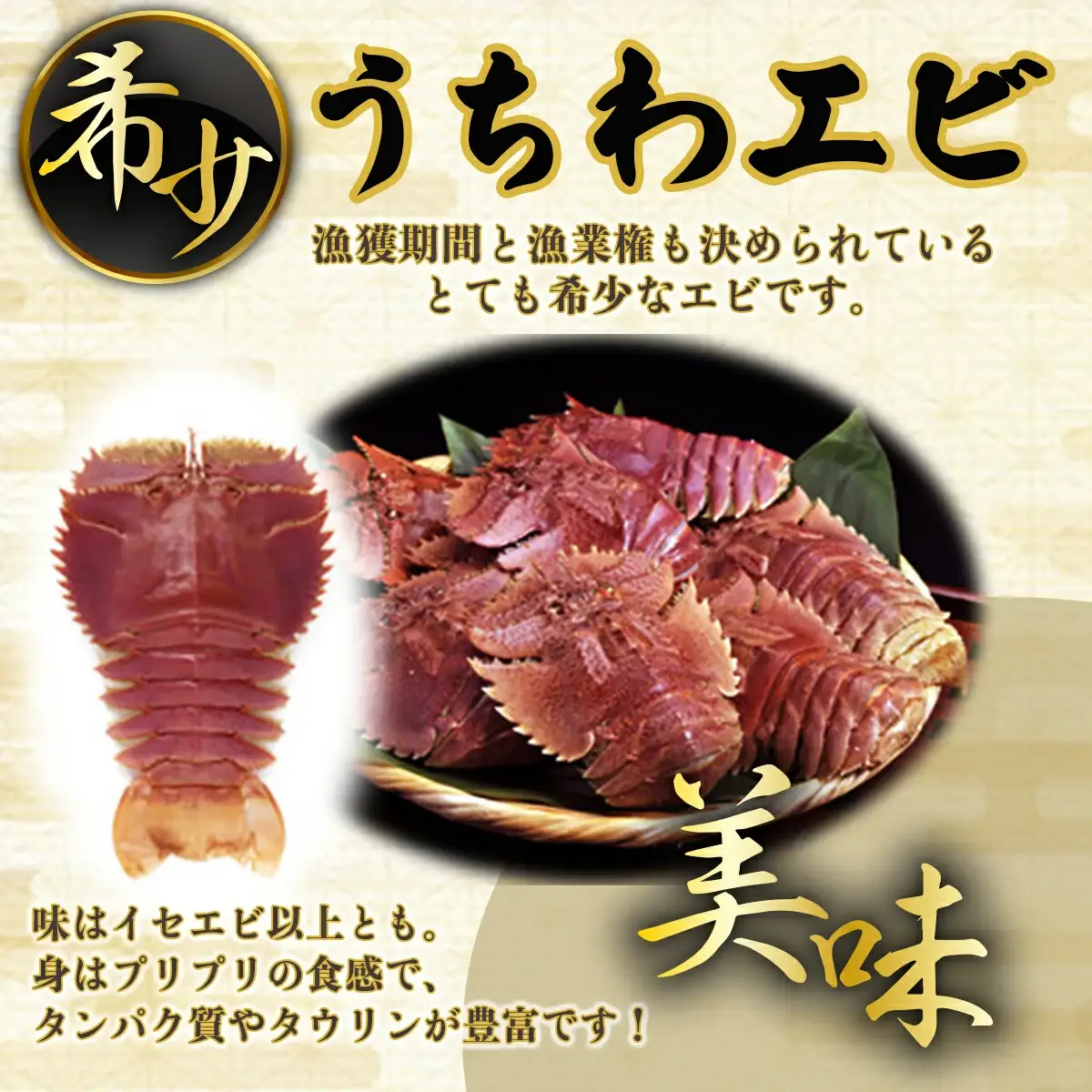 ウチワエビ(大)×3尾＆伊勢海老(小)×2~3尾の豪華セット
