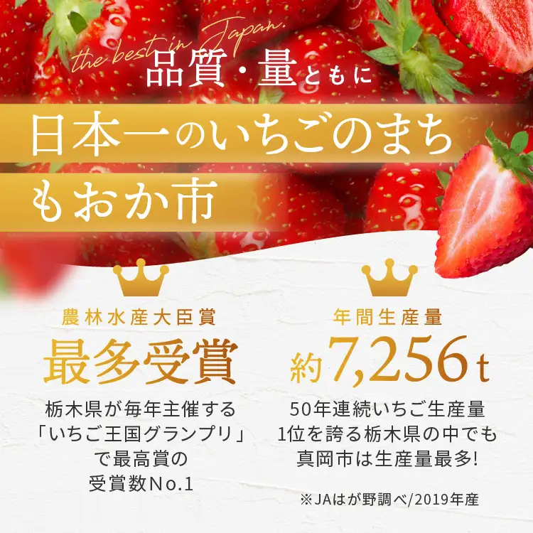 スカイベリー（贈答向け）【2月発送】約1120g 真岡市 栃木県 送料無料