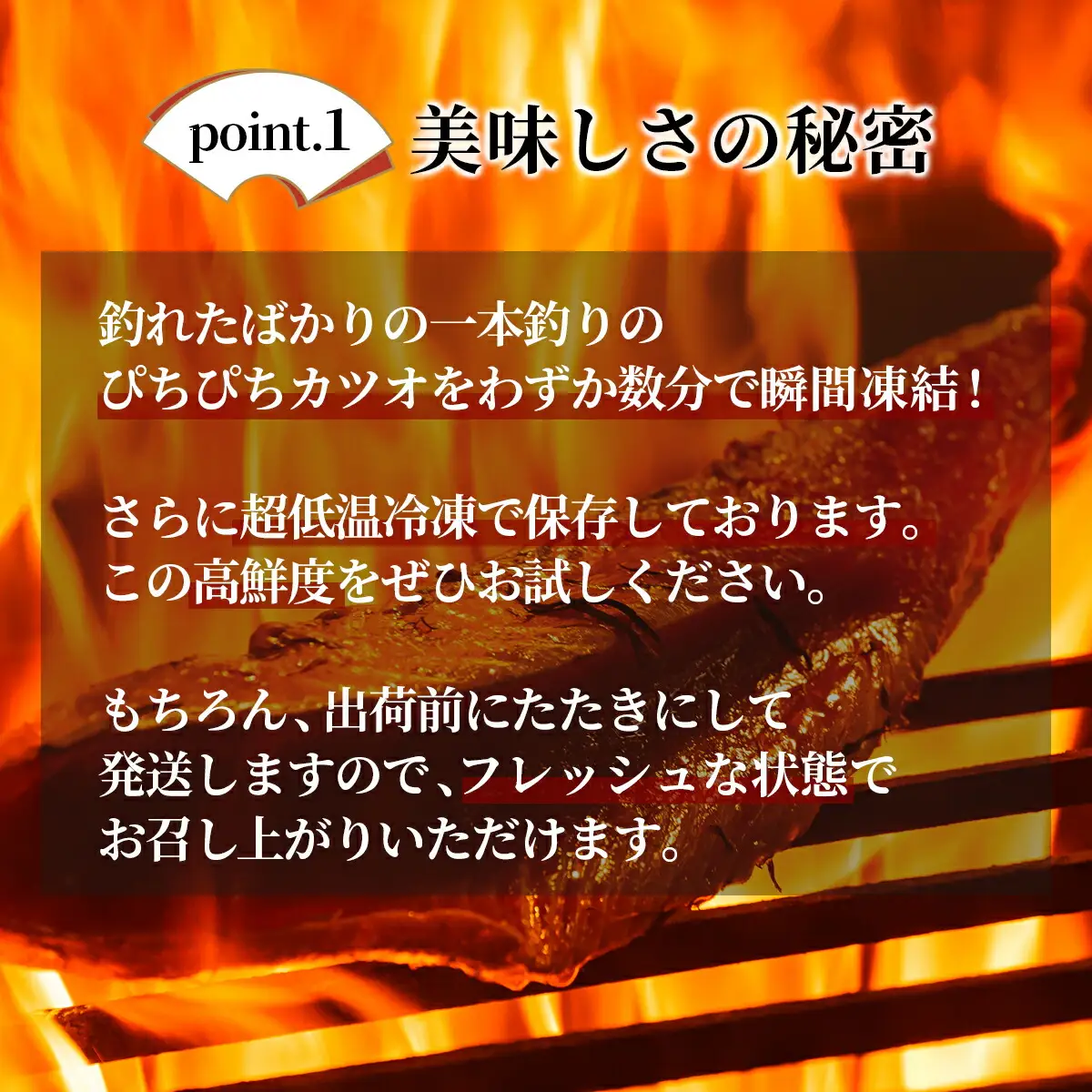 鰹のたたき！できたて出荷！【10人前】 S198 [S-17] 【株式会社森海家】