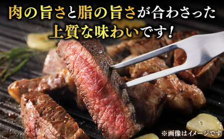 【豊美牛】ヒレステーキ300g/ﾋﾚｽﾃｰｷ ヒレステーキ 国産ヒレ 和牛ヒレステーキ ﾋﾚｽﾃｰｷ 冷凍ヒレステーキ 牛肉ヒレステーキ[AMAL005]