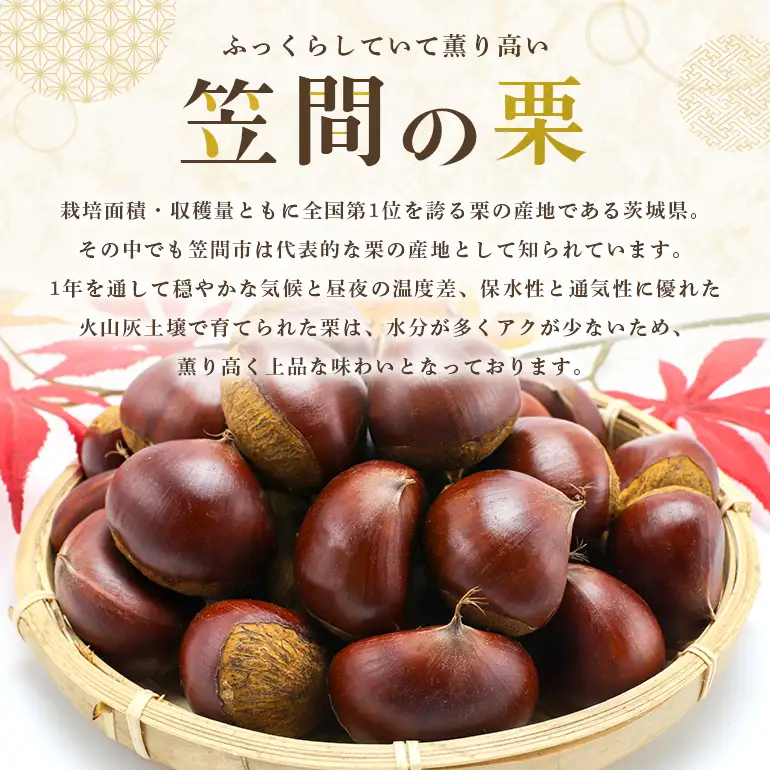 笠間の栗・箱田農園の生栗「利平」1kg（3L以上） JN-005