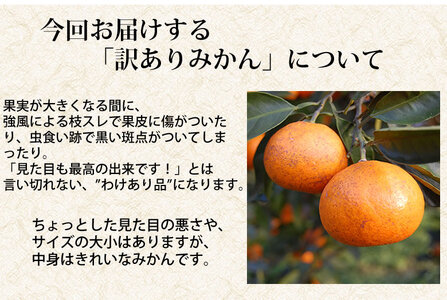 先行予約 訳あり みかん 10kg【2026年10月上旬～2027年2月中旬までに発送予定】柑橘 フルーツ 果物 くだもの 規格外 不揃い
