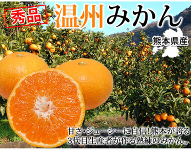 先行予約 みかん 秀品 5kg【2026年10月上旬～2027年1月下旬までに発送予定】柑橘 フルーツ 果物 くだもの 贈答用 ギフト