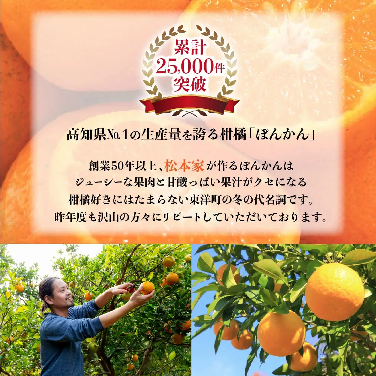 訳アリ 東洋町ポンカン＜10kg＞【合同会社松本家】